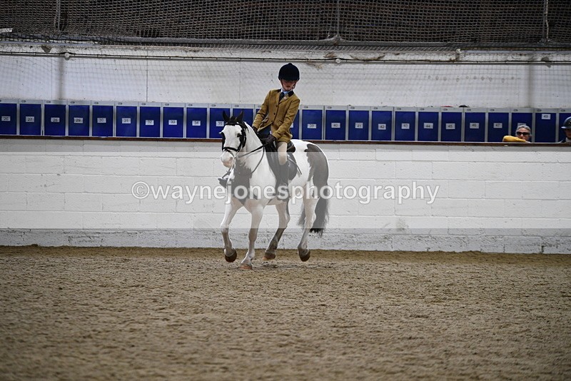 WJ5_7312 - Class 11 Ridden PC - RC Pony