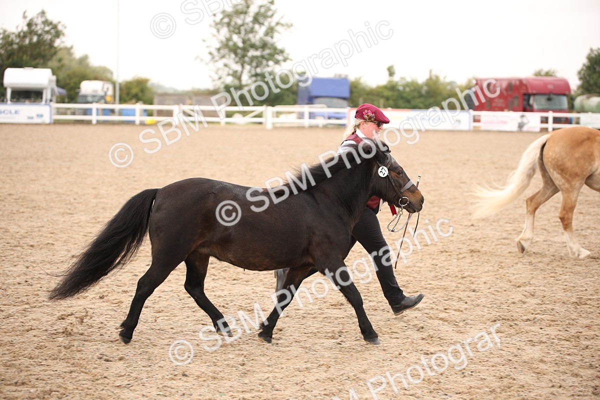 SBM_22184 - Class 707 - Ridden Groom-Helpers Class