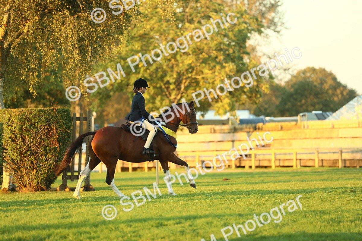 SBM_56722 - Fun & Versatile Supreme Championship