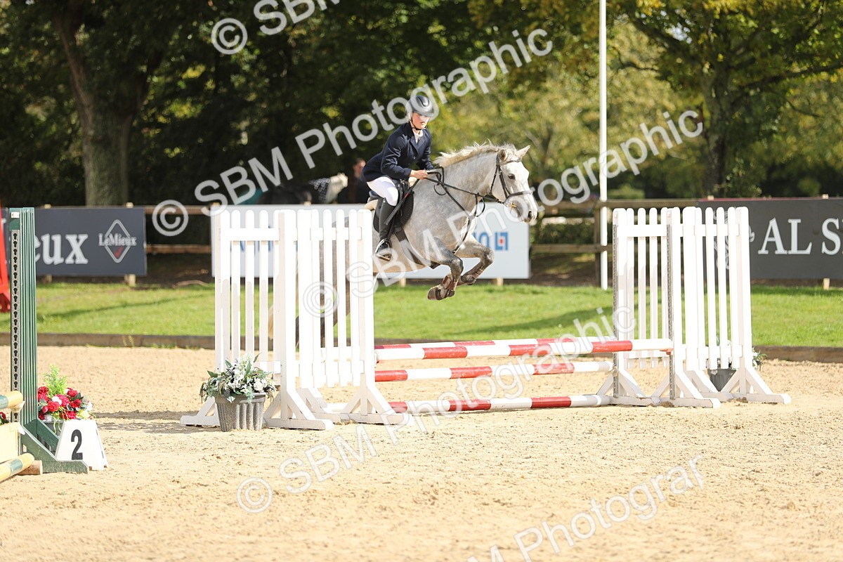SBM_40254 - J21 - Junior Horse 60cm Championship