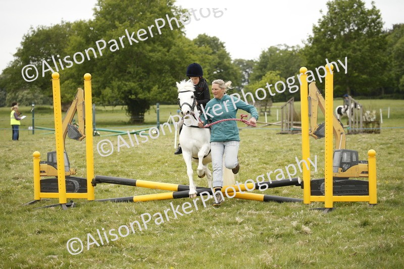 20250517-0287 - Class 1 - 30cm On Lead Rein