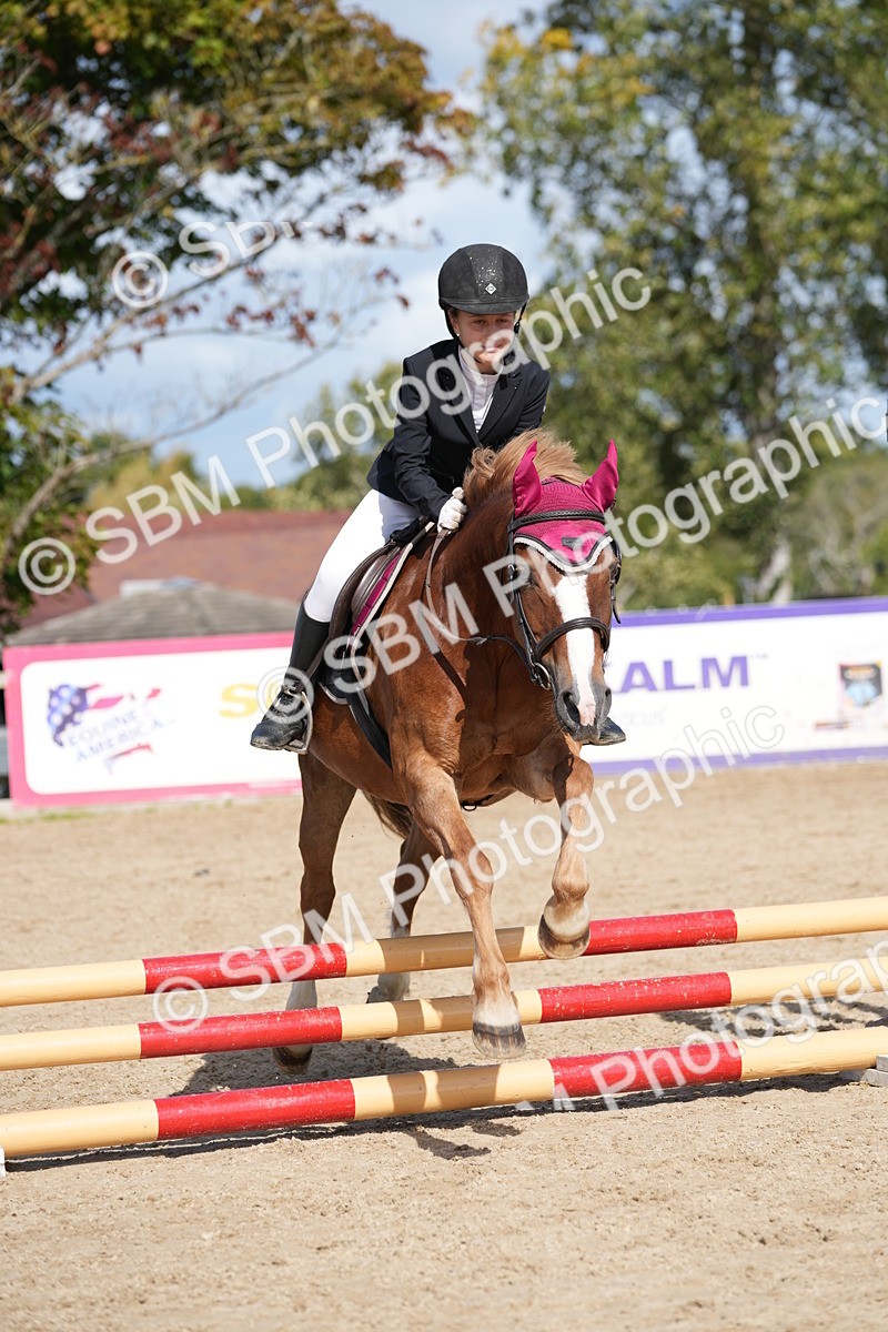 SBM_17997 - J58 - Clear Round 50cm