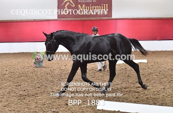 BPP_1883 - AFTERNOON 12.30 - 3.30PM