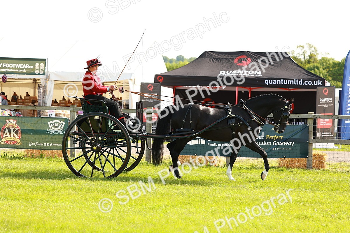 SBM_01154 - Class 2-4 - HOYS Private Driving