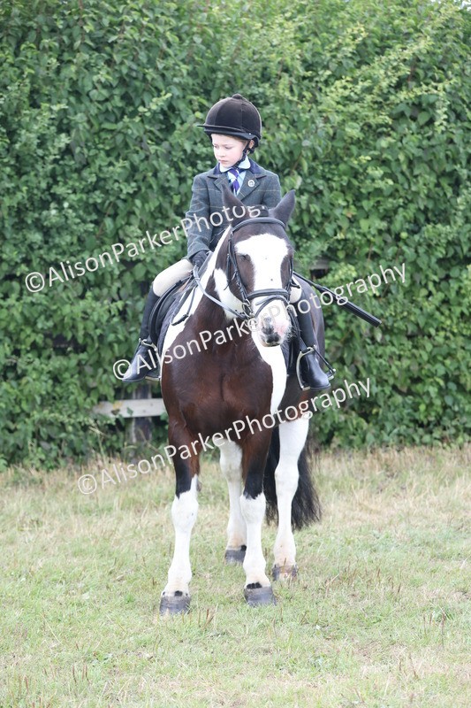 20250831-4293 - Class 20 - Ridden Coloured