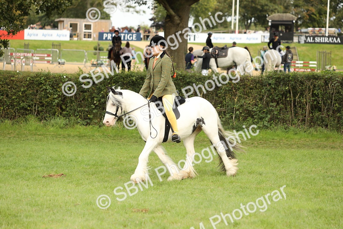SBM_71561 - S41 - Ridden Equitation (Best Rider)