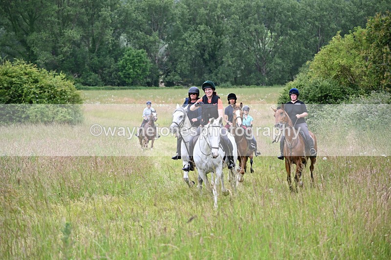 WJ6_8402 - Camera 1 Gallops