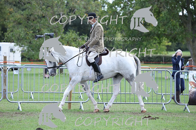 APP_4142 - Class 15a/b Pony club pony/Riding club horse