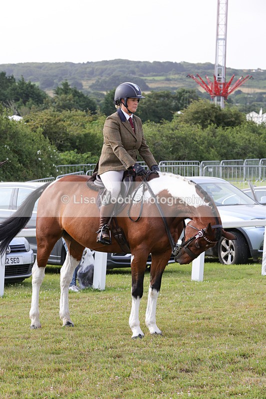 1X9A2887 - Class 25: Ridden Plaited Coloured Horse
