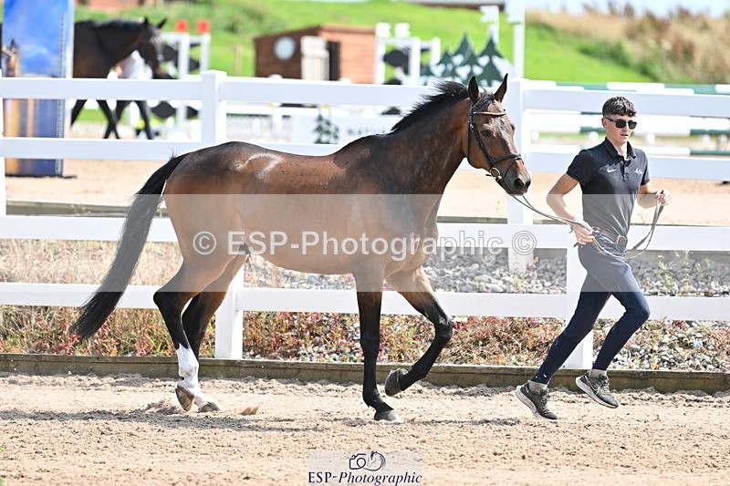 240717A-153433-02895 - Trot Up 3pm to 4pm
