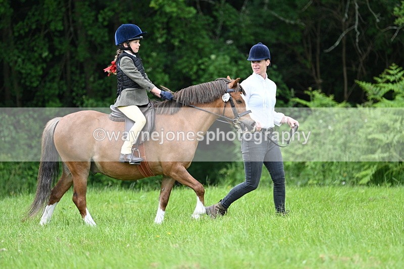WJ7_3933 - Class 14A Handsome Gelding