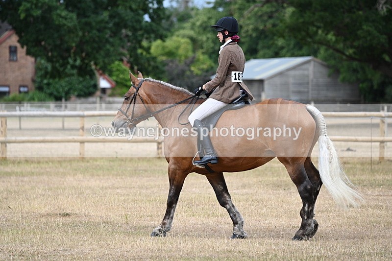 WJ6_7361 - Class 9 Tack and Turnout