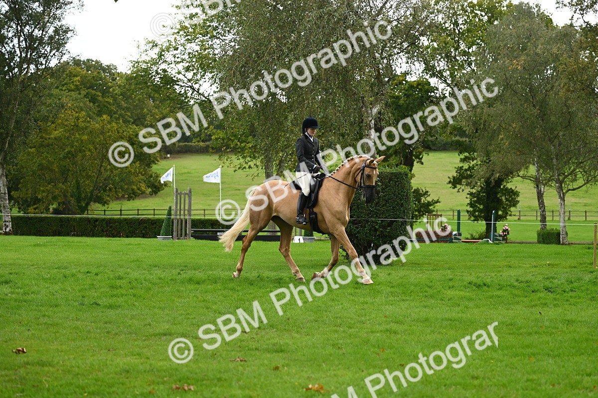 SBM_26351 - S6 - Novice & newcomer Ridden horse