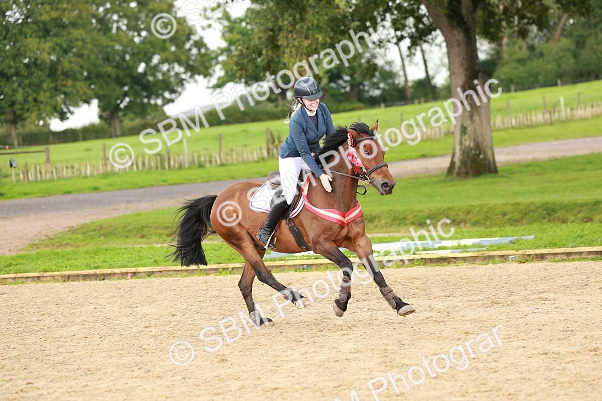 SBM_38505 - Supreme Championship 80cm 85cm