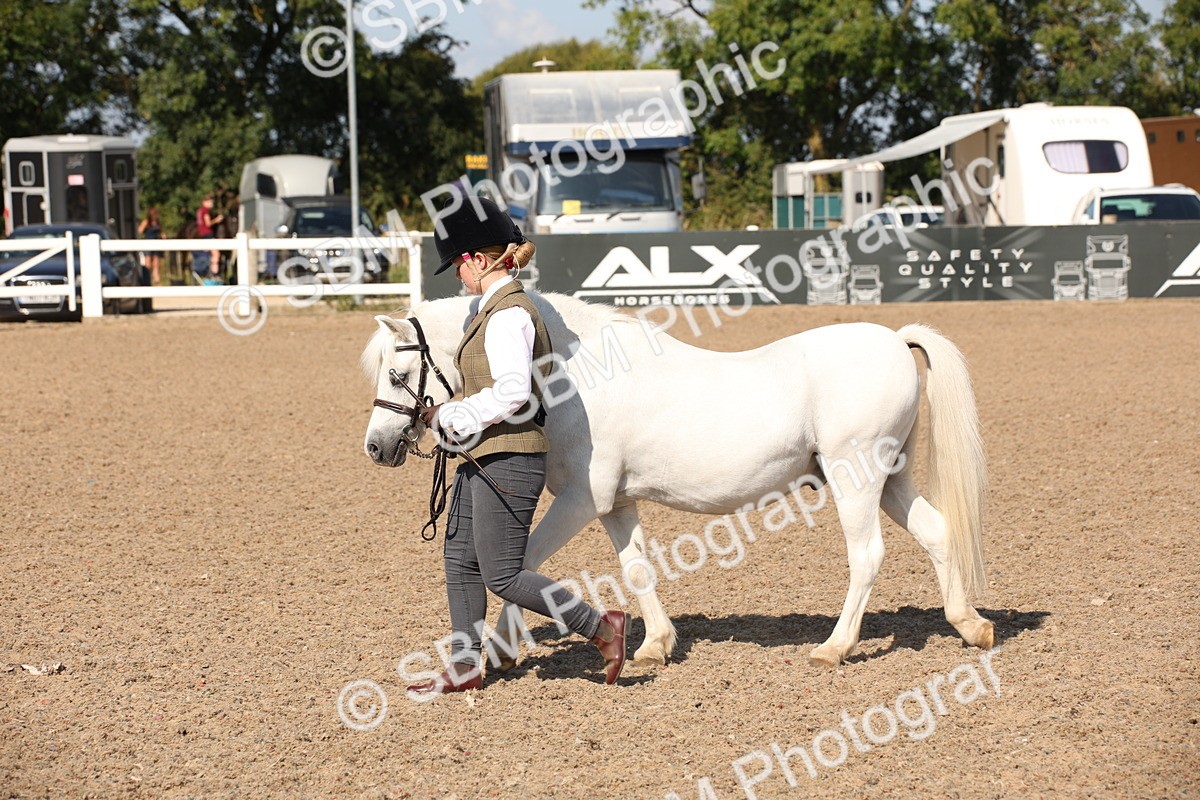 SBM_02723 - Class 16 IH M&M Wildcard