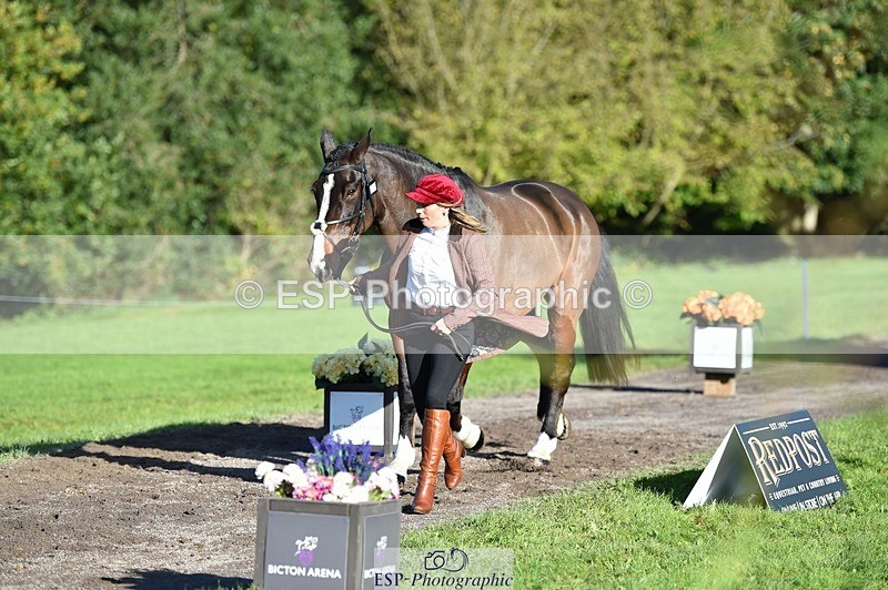 231022-102914-22512 - 500-HARLYN.CONNOR-Kerryann.Dunstan-TrotUp+SJ