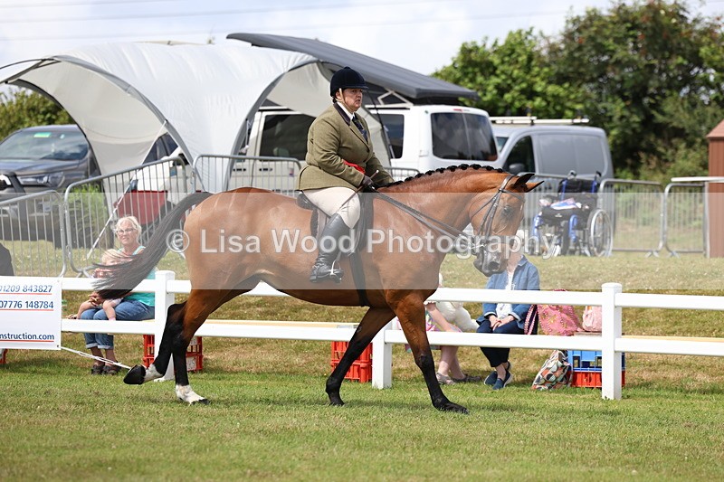 3E7A0548 - Rising Star Ridden Championship