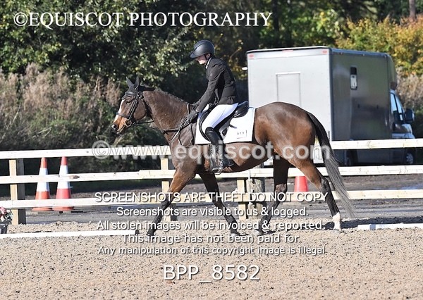 BPP_8582 - SHORT ARENA