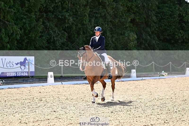 260731A-111307-00255 - Elementary Bronze 10.30 - Break