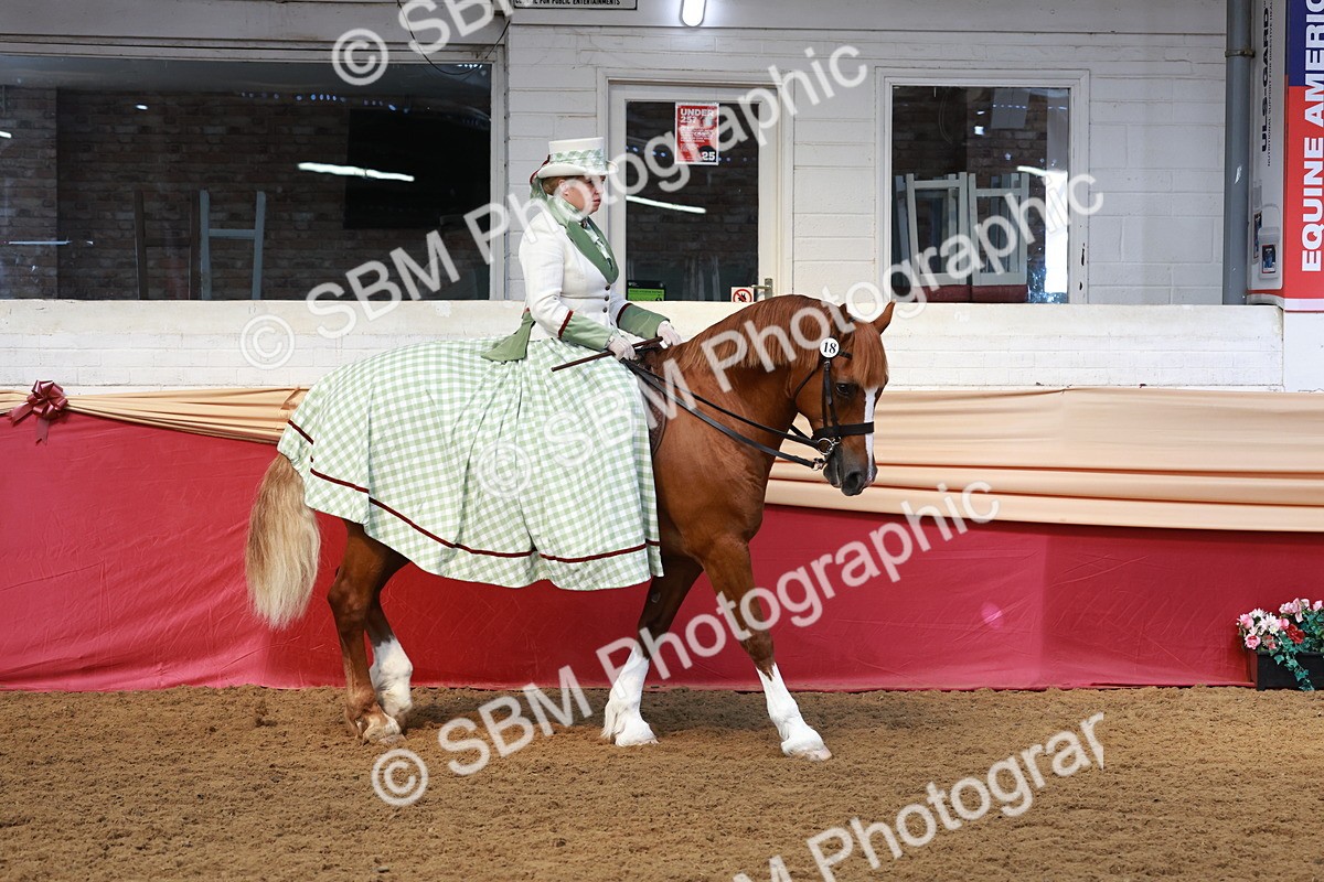 SBM_13673 - Class 106 - Ridden Costume -Astride Adult (15-19)