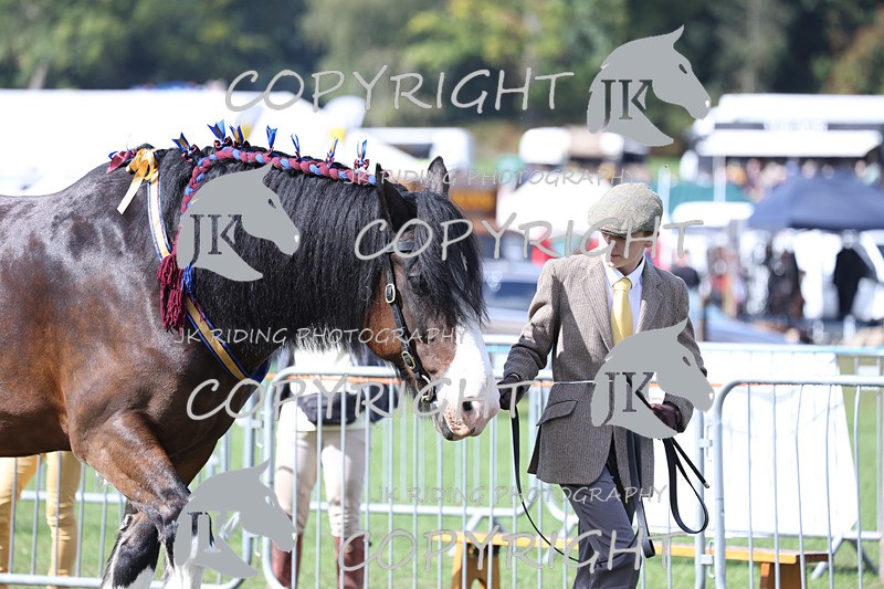 APP_3417 - Class 6 Young Handlers