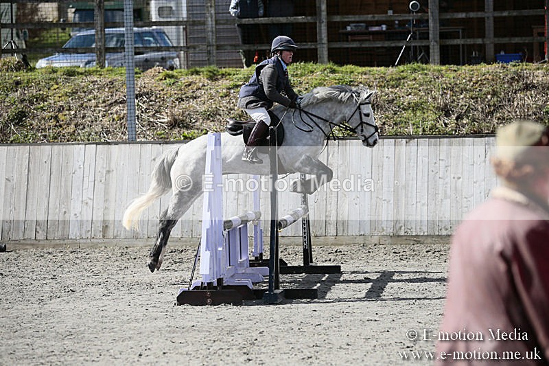 BVRC SJ 170319 417 - Bourne Valley Riding Club Showjumping 17/03/19