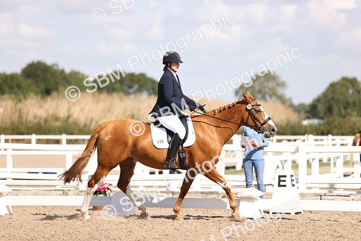 SBM_03556 - CLass 35 Intro 3