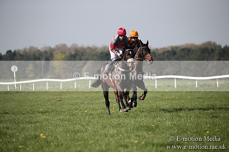 PtP 210418 497 - South & West Wilts Point-to-Point Larkhill 21/04/18