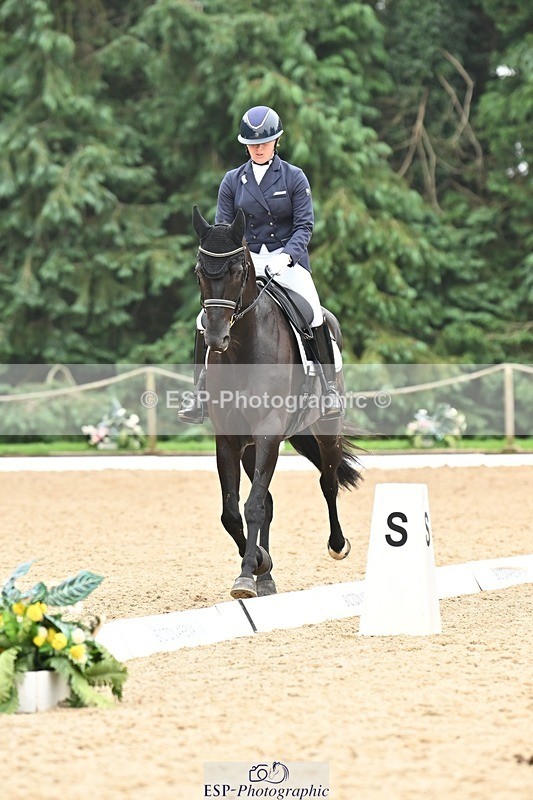 240811-115923-05316 - 118-Katie.Kneen-Springtime.Evergreen