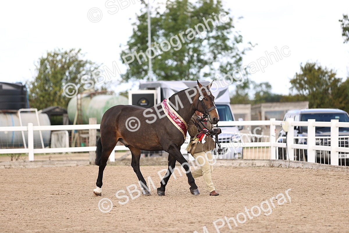 SBM_10403 - Class 405 - IH Show Cob
