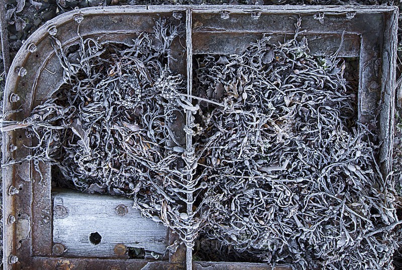 Shoreline frost patterns, Isle of Mull, Scotland - ISLE OF MULL LANDSCAPE PHOTOGRAPHY