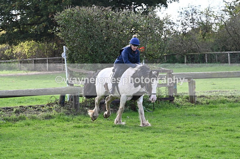 WJ7_8234 - Time 12:12 to 12:37