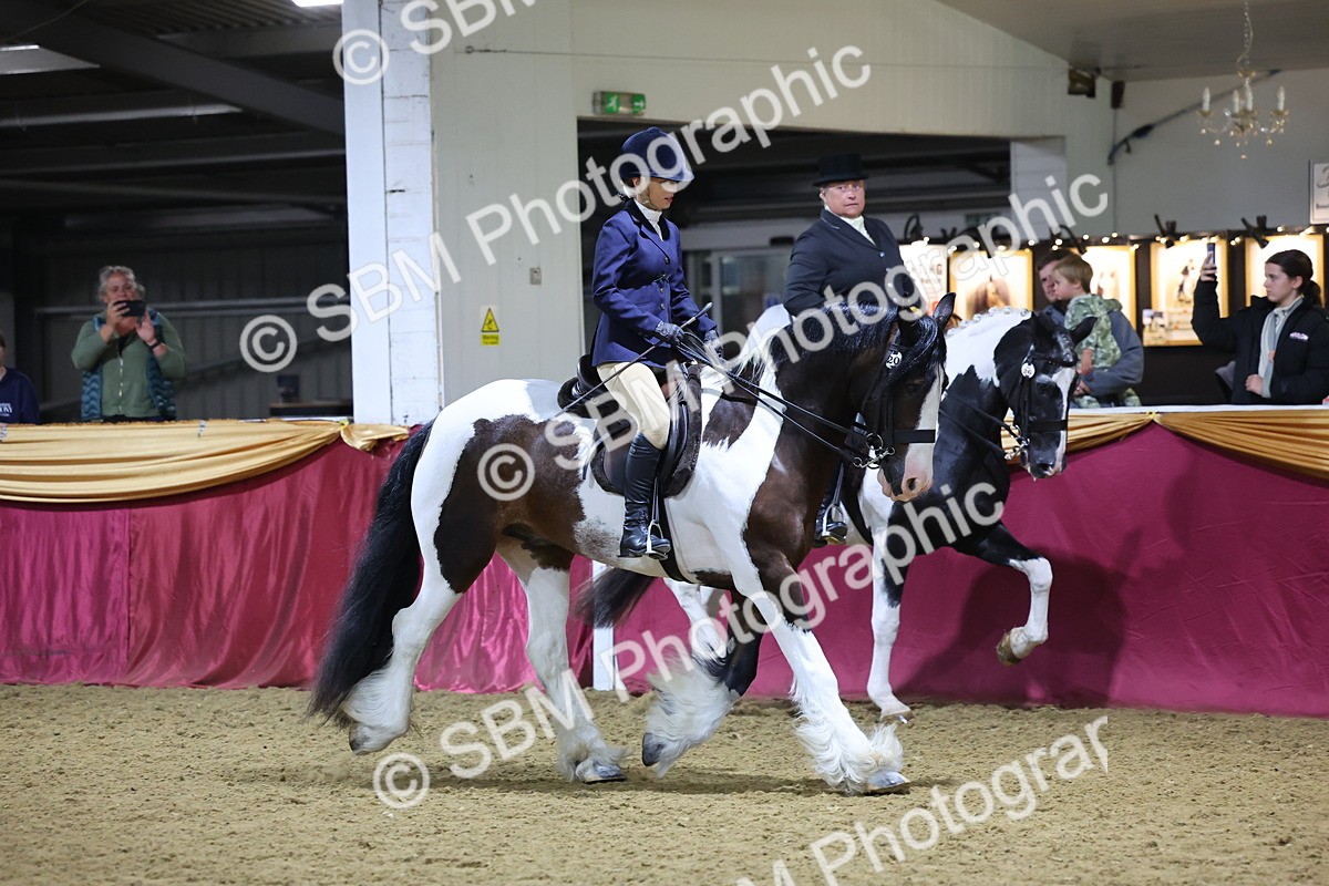 0B8A4636 - Class R Working Veteran Champ