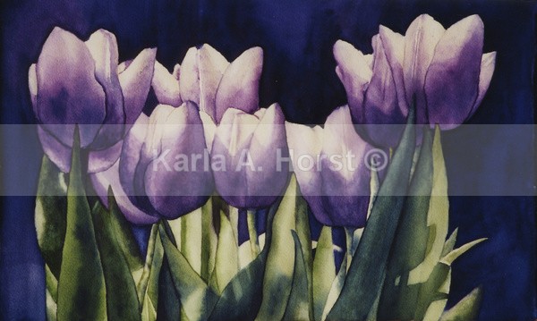 Purple Tulips - Prints