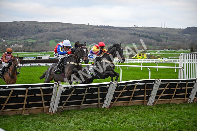 161125-Race 5-Alexei-6381 - Race 5