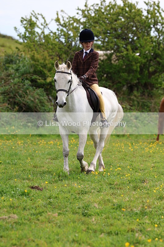 3E7A1561 - Class 8: Ridden Veteran Junoir and Senior