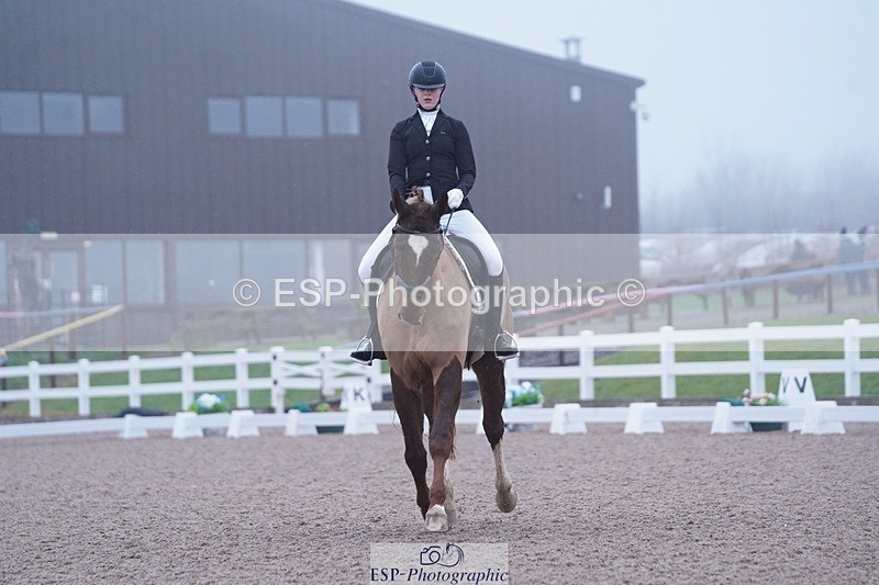 250215-094342-02686 - 142-Daisy.Hedges-Felicia.v