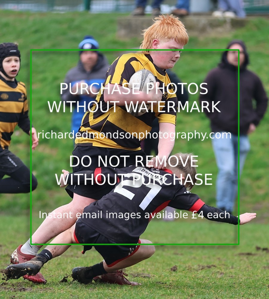 533A0560 - Kendal Rugby Under 13's vs Workington Zebra Under 13's (22/2/26)