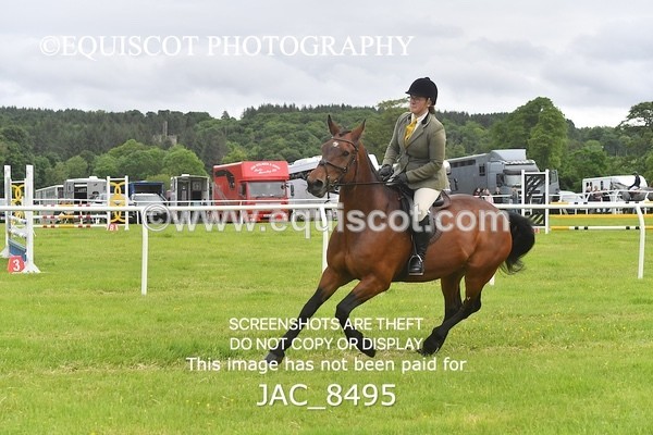 JAC_8495 - CLASS 3 BHS STYLE JUMPING