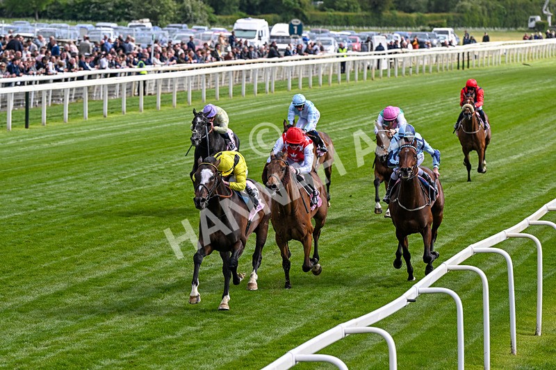 150526-Race 5-Rahiebb-0280 - Race 5 4.05pm Boodles Yorkshire Cup Stakes