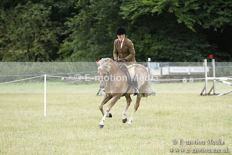 BVR160717-140 - Ring 3 BVRC Show 16/07/17