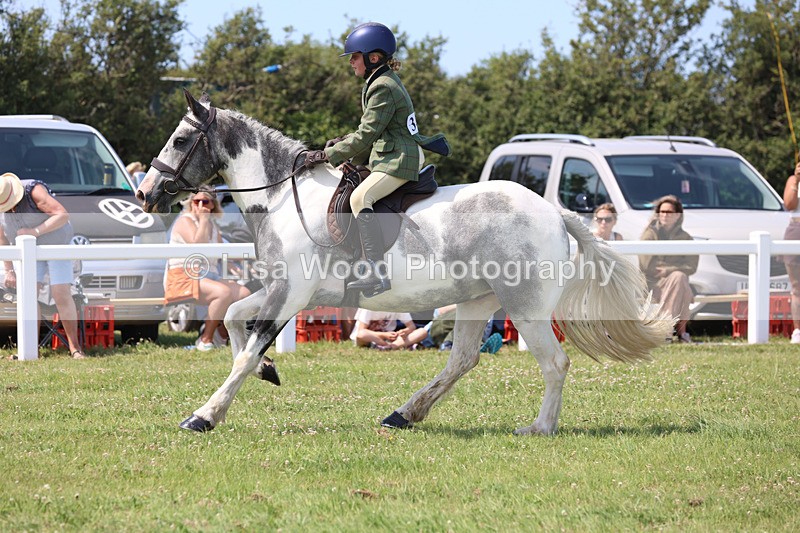 JPP_3208 - Class 22: Working Hunter 70cm