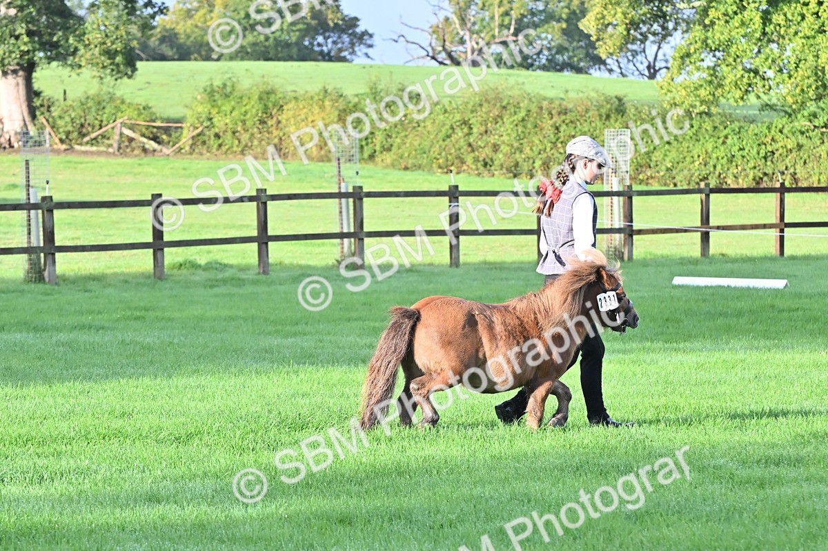 SBM_32576 - S15 - Top Turnout In Hand