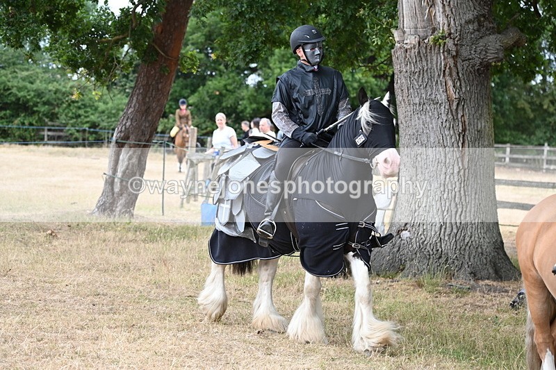 WJ6_8907 - Class 11 Fancy Dress