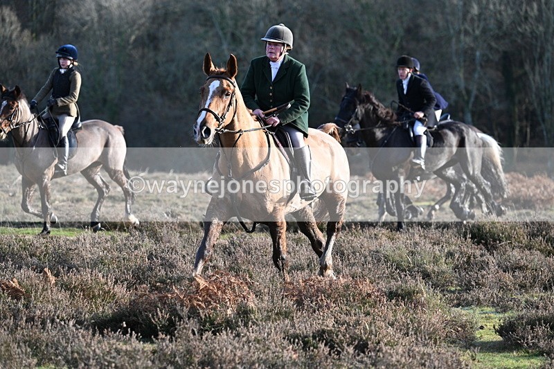 WJ7_7930 - Line 3 (no line 4 or 5)