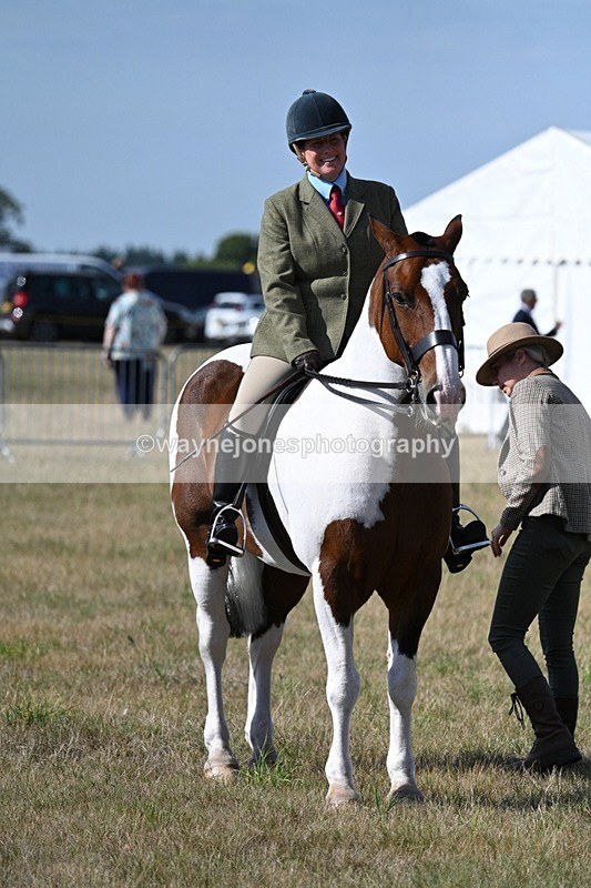 WJ7_2736 - Class 8 Ridden Tack & Turnout