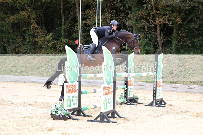 3E7A3373 - Class 9: Senior Foxhunter/1.20 open