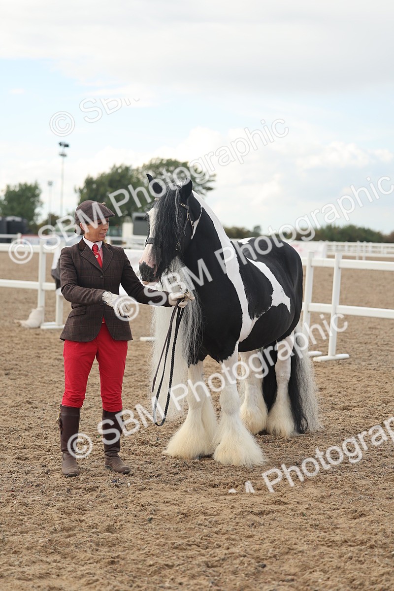 SBM_08560 - Class 29 - IH Veteran Pony