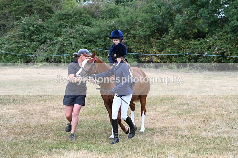 WJ7_9871 - Class 1 Lead Rein Pony