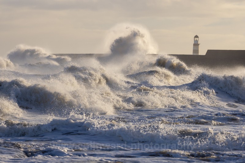 Seaham Storm - County Durham